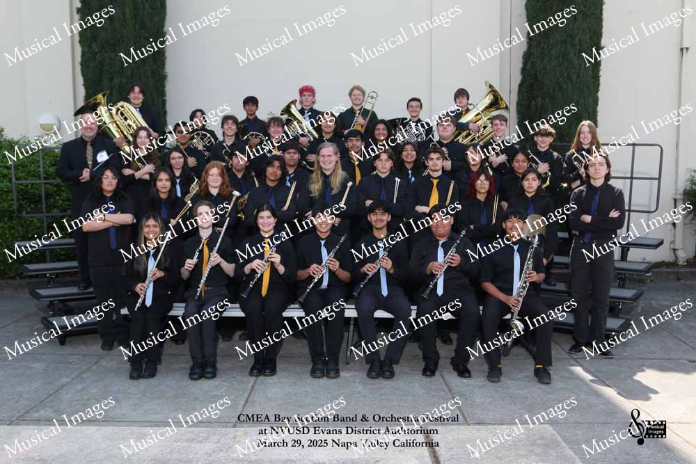 Musical Images